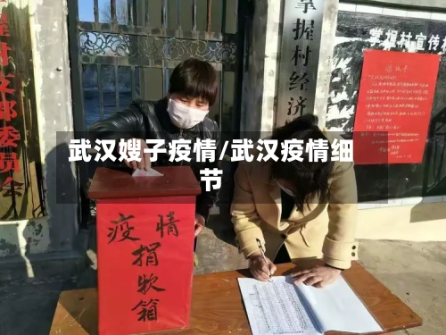 武汉嫂子疫情/武汉疫情细节-第2张图片