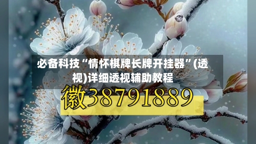 必备科技“情怀棋牌长牌开挂器”(透视)详细透视辅助教程-第2张图片