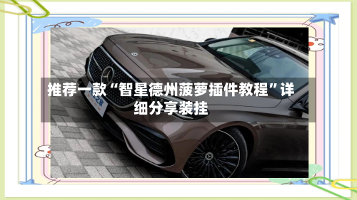 推荐一款“智星德州菠萝插件教程	”详细分享装挂-第2张图片
