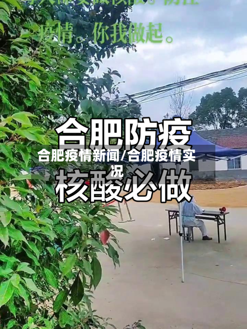 合肥疫情新闻/合肥疫情实况-第3张图片