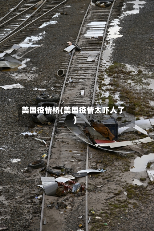 美国疫情桥(美国疫情太吓人了)-第3张图片