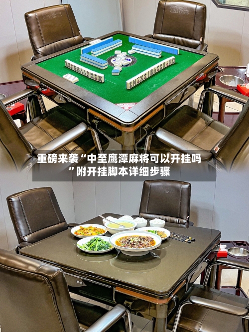 重磅来袭“中至鹰潭麻将可以开挂吗”附开挂脚本详细步骤-第3张图片