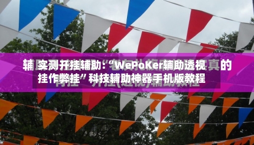 实测开挂辅助:“WePoKer辅助透视挂作弊挂”科技辅助神器手机版教程-第3张图片
