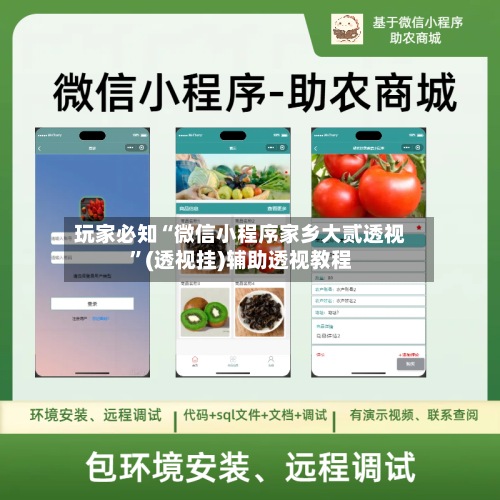 玩家必知“微信小程序家乡大贰透视”(透视挂)辅助透视教程-第1张图片