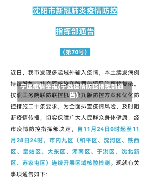 宁远疫情举报(宁远疫情防控指挥部通告)-第3张图片