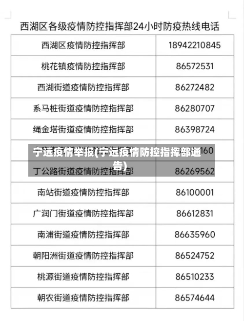 宁远疫情举报(宁远疫情防控指挥部通告)-第2张图片