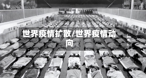 世界疫情扩散/世界疫情动向-第3张图片