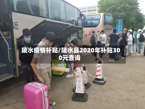 陵水疫情补贴/陵水县2020年补贴300元查询-第2张图片
