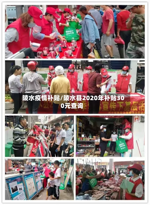 陵水疫情补贴/陵水县2020年补贴300元查询-第3张图片