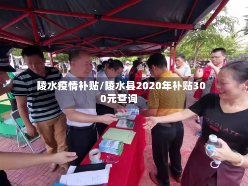 陵水疫情补贴/陵水县2020年补贴300元查询-第1张图片