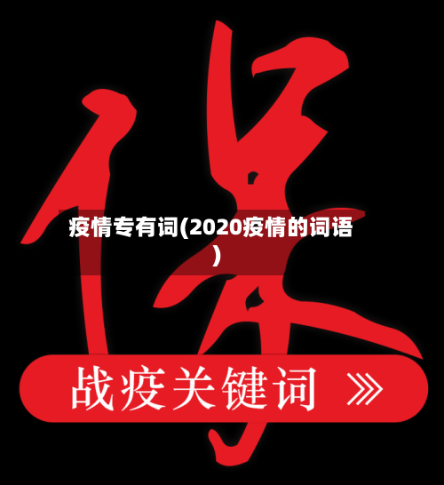 疫情专有词(2020疫情的词语)-第2张图片