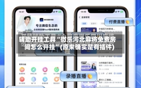辅助开挂工具“微乐河北麻将免费房间怎么开挂”(原来确实是有插件)-第2张图片