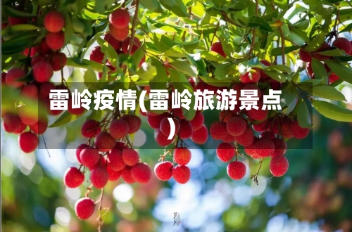 雷岭疫情(雷岭旅游景点)-第3张图片