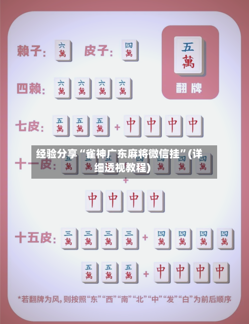 经验分享“雀神广东麻将微信挂”(详细透视教程)-第2张图片