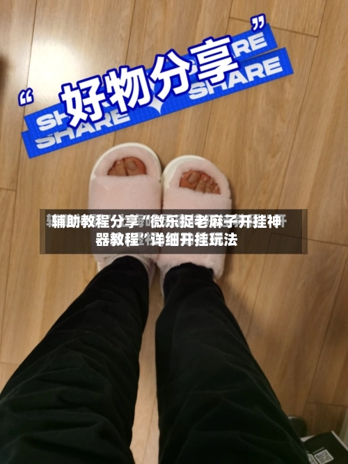 辅助教程分享“微乐捉老麻子开挂神器教程	”详细开挂玩法-第2张图片