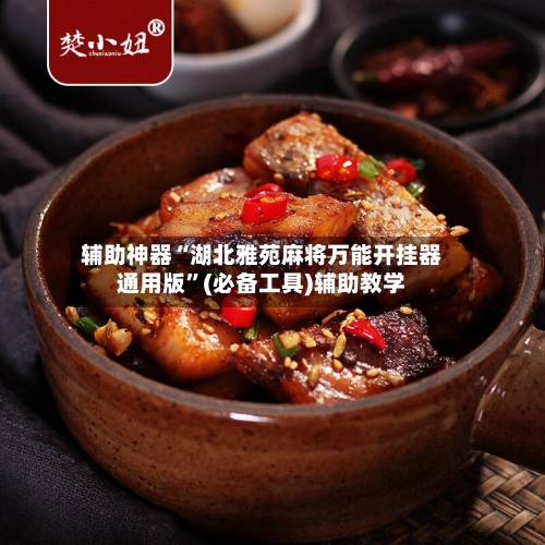 辅助神器“湖北雅苑麻将万能开挂器通用版	”(必备工具)辅助教学-第1张图片