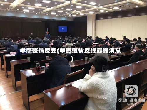 孝感疫情反弹(孝感疫情反弹最新消息)-第3张图片