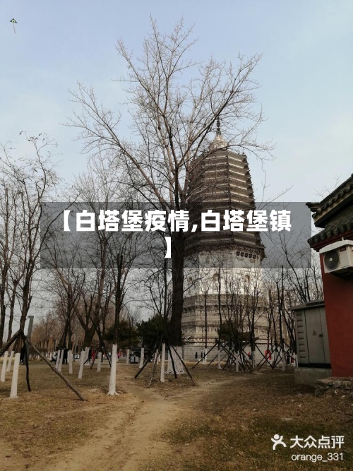 【白塔堡疫情,白塔堡镇】-第2张图片