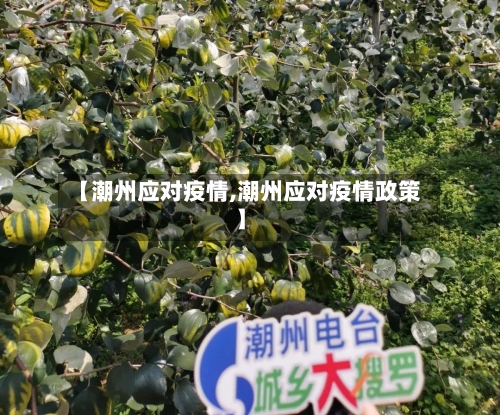 【潮州应对疫情,潮州应对疫情政策】-第3张图片