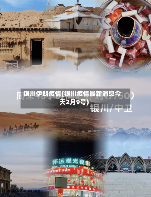 银川伊朗疫情(银川疫情最新消息今天2月9号)-第2张图片