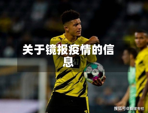 关于镜报疫情的信息-第2张图片