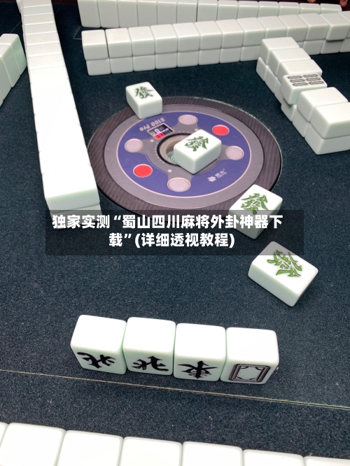 独家实测“蜀山四川麻将外卦神器下载”(详细透视教程)-第2张图片