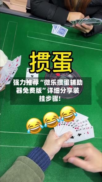 强力推荐“微乐掼蛋辅助器免费版	”详细分享装挂步骤!-第2张图片