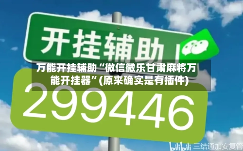 万能开挂辅助“微信微乐甘肃麻将万能开挂器”(原来确实是有插件)-第3张图片