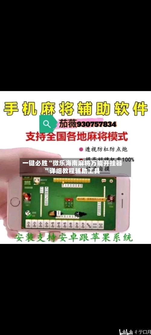 一键必胜“微乐海南麻将万能开挂器	”详细教程辅助工具-第3张图片