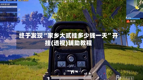 终于发现“家乡大贰挂多少钱一天”开挂(透视)辅助教程-第2张图片