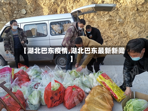 【湖北巴东疫情,湖北巴东最新新闻】-第3张图片