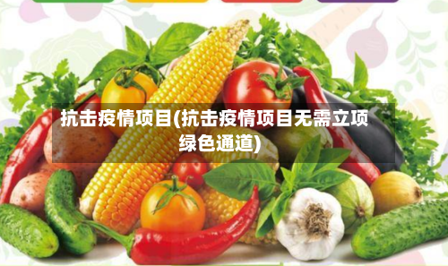 抗击疫情项目(抗击疫情项目无需立项绿色通道)-第1张图片