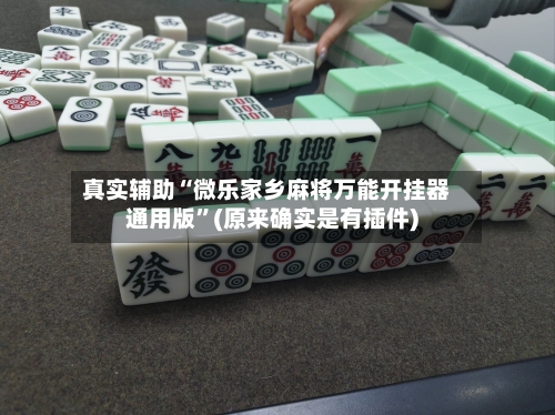 真实辅助“微乐家乡麻将万能开挂器通用版”(原来确实是有插件)-第2张图片