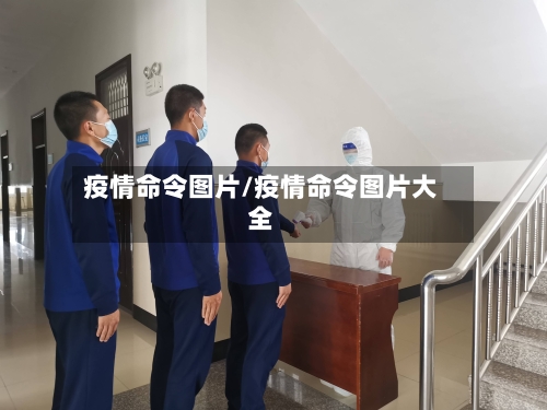 疫情命令图片/疫情命令图片大全-第1张图片