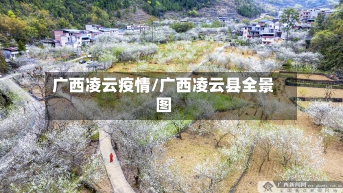 广西凌云疫情/广西凌云县全景图-第1张图片