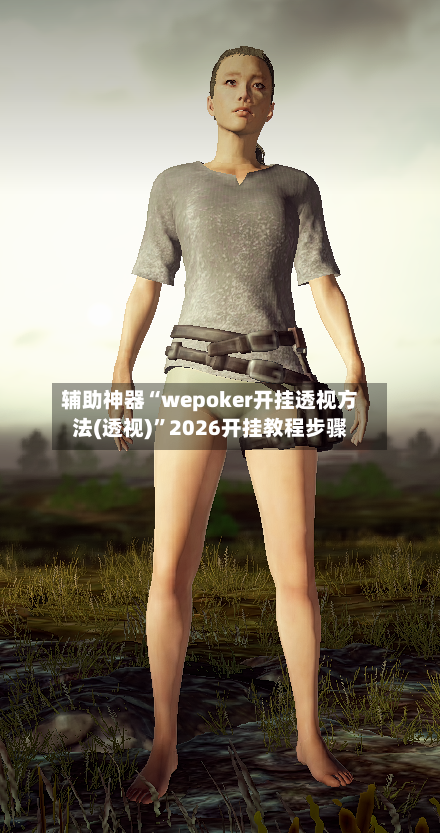 辅助神器“wepoker开挂透视方法(透视)	”2026开挂教程步骤-第2张图片