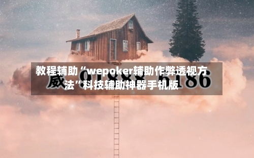 教程辅助“wepoker辅助作弊透视方法”科技辅助神器手机版-第2张图片