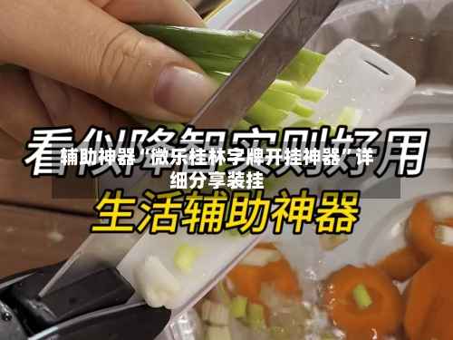 辅助神器“微乐桂林字牌开挂神器”详细分享装挂-第1张图片