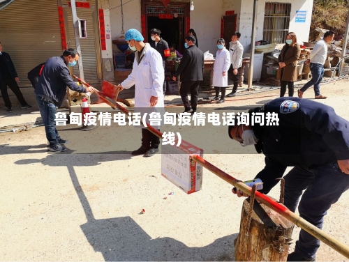 鲁甸疫情电话(鲁甸疫情电话询问热线)-第2张图片