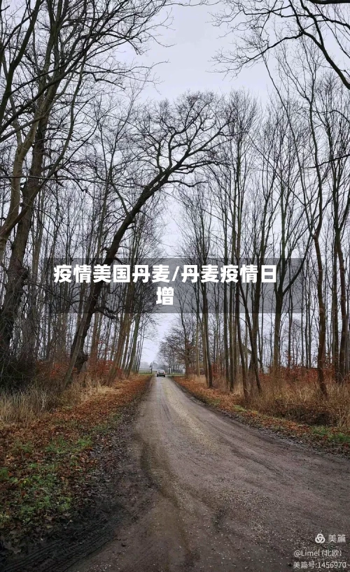 疫情美国丹麦/丹麦疫情日增-第2张图片
