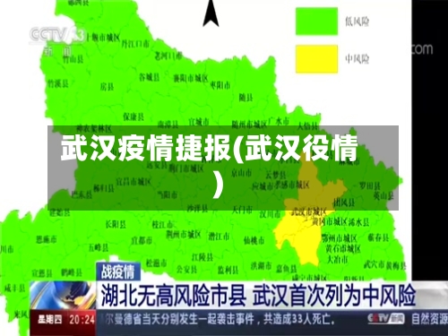 武汉疫情捷报(武汉役情)-第3张图片