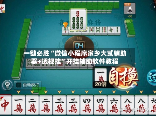 一键必胜“微信小程序家乡大贰辅助器+透视挂”开挂辅助软件教程-第2张图片