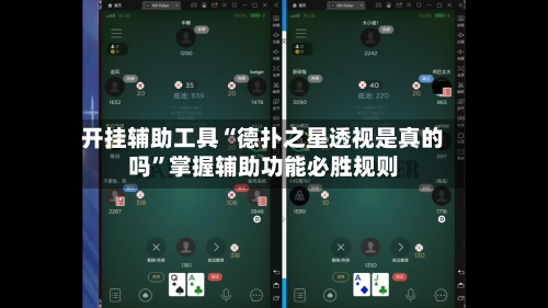 开挂辅助工具“德扑之星透视是真的吗”掌握辅助功能必胜规则-第2张图片