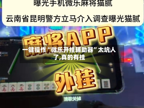 一键操作“微乐开挂辅助器”太坑人了,真的有挂-第1张图片
