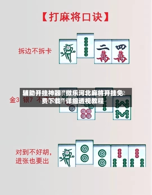辅助开挂神器“微乐河北麻将开挂免费下载	”详细透视教程-第2张图片