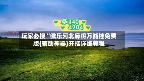 玩家必搜“微乐河北麻将万能挂免费版(辅助神器)开挂详细教程-第2张图片