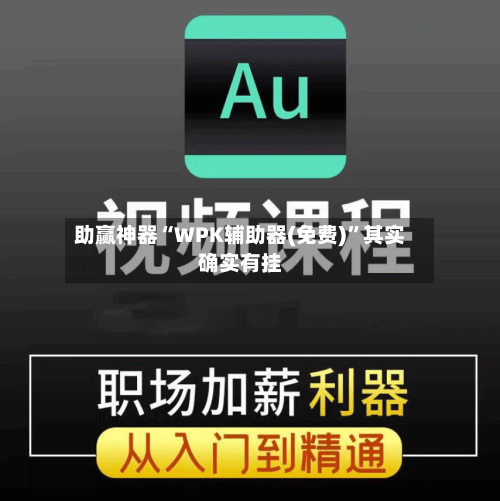 助赢神器“WPK辅助器(免费)”其实确实有挂-第2张图片