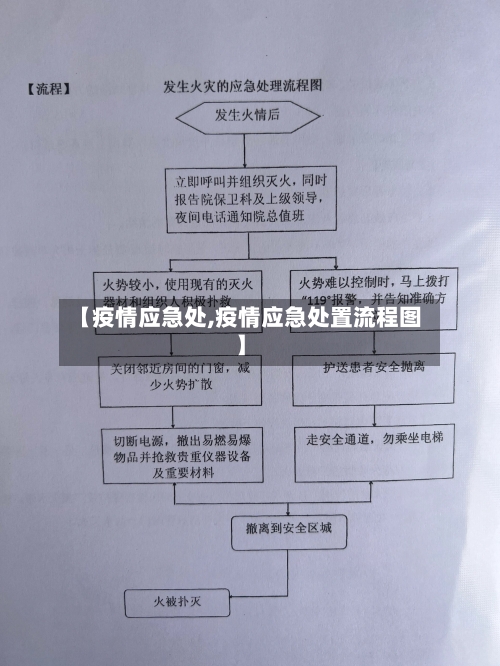 【疫情应急处,疫情应急处置流程图】-第2张图片