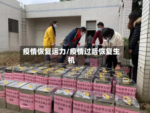 疫情恢复运力/疫情过后恢复生机-第3张图片