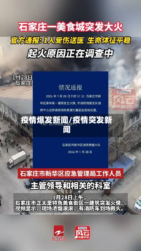 疫情爆发新闻/疫情突发新闻-第2张图片